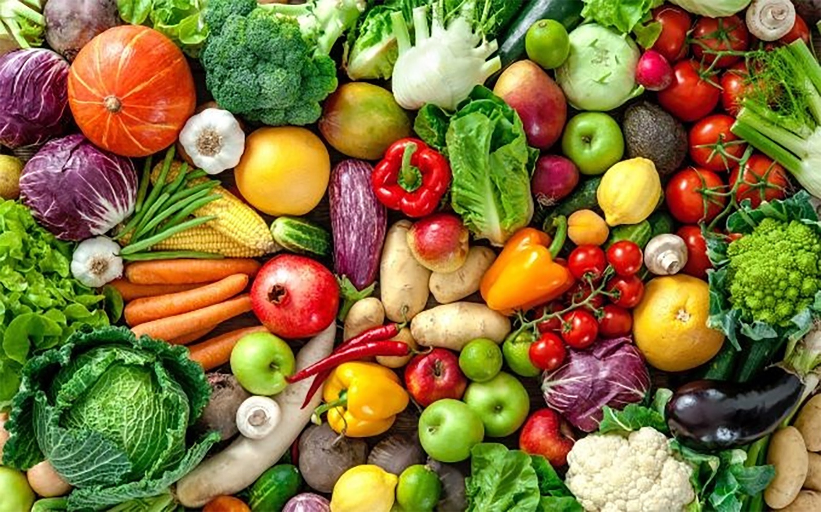 Confira sete dicas práticas para  evitar desperdício na cozinha