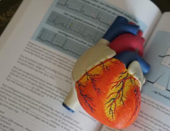 O colesterol de origem genética que a estatina não baixa (e que pode triplicar o risco de infarto)