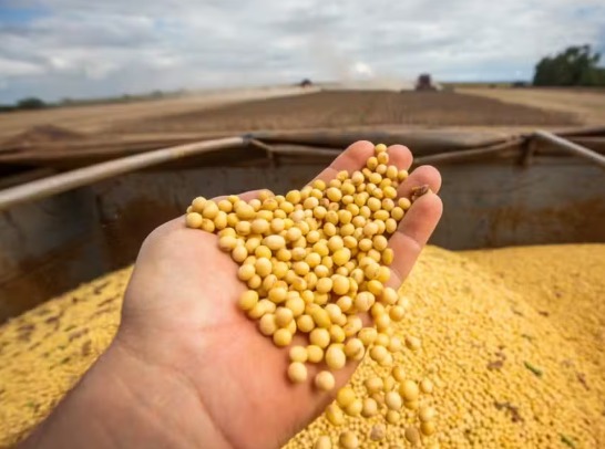 PIB do Brasil cresce 0,5% no 2º trimestre de 2026, puxado pela agropecuária, diz IBGE