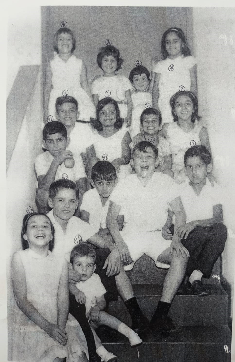 50 anos, Bodas de Ouro, da família José Sandoval e Custódia Falleiros Sandoval. (1) Maria de Lourdes Sandoval Moreira (in memoriam), (2). Yara Maria Sandoval Terra Sampaio, (3) Marisilvia Rodrigues Sandoval, (4) Maria de Fátima Falleiros (in memoriam), (5) Ricardo José Sandoval Garcia, (6) Judith Maria Rodrigues Sandoval, (7) Walter Gama Terra Júnior, (8) Consuelo Sandoval Moreira Mota. (9) Alcides Mesquita Garcia Junior (in memoriam), (10) Aristides Rodrigues Sandoval (in memoriam), (11) José Rodrigues Sandoval, (12) Suely Aparecida Sandoval Terra Teixeira, (13) Eduardo Sandoval Perez e (14) Paulo Roberto Falleiros (in memoriam)